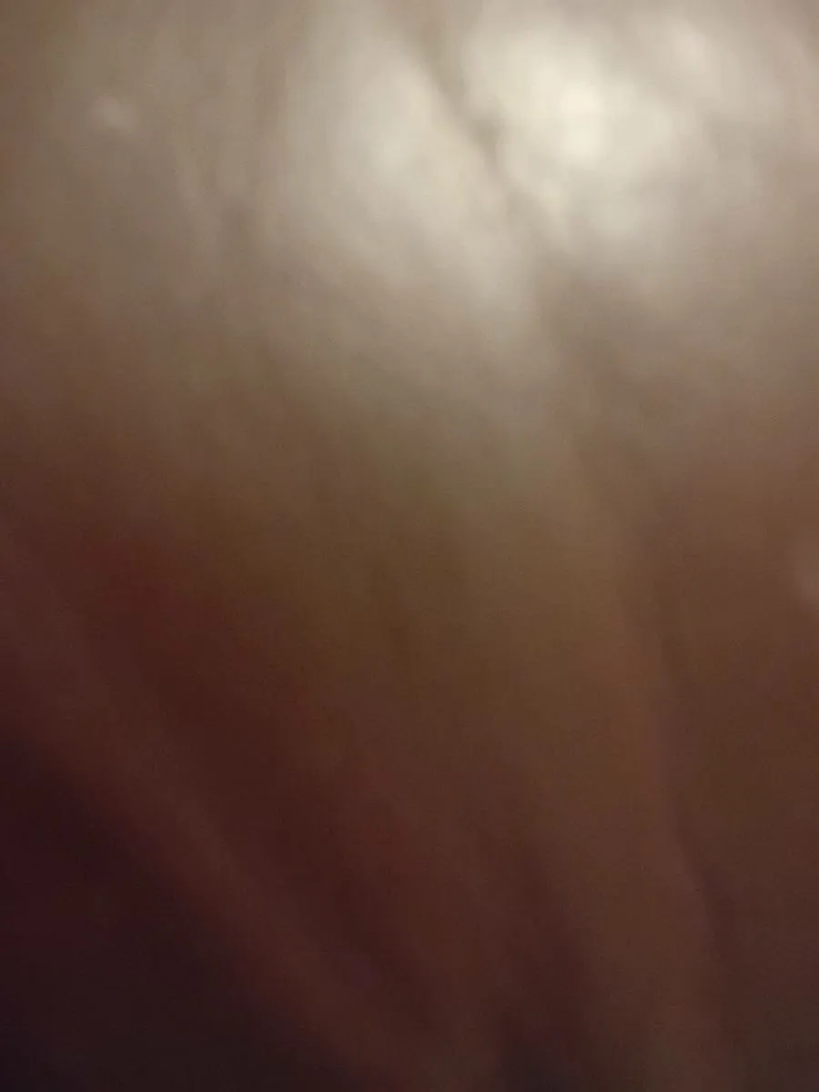 Cbr 400 cbr 250 1988 both running pic to follow