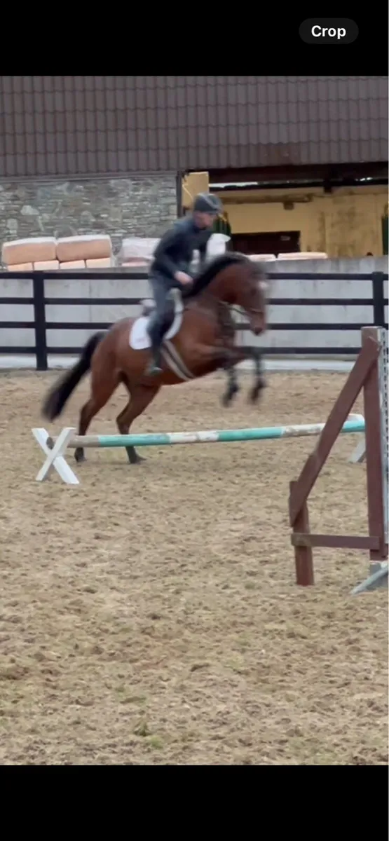 9yo sport hoses - Image 4