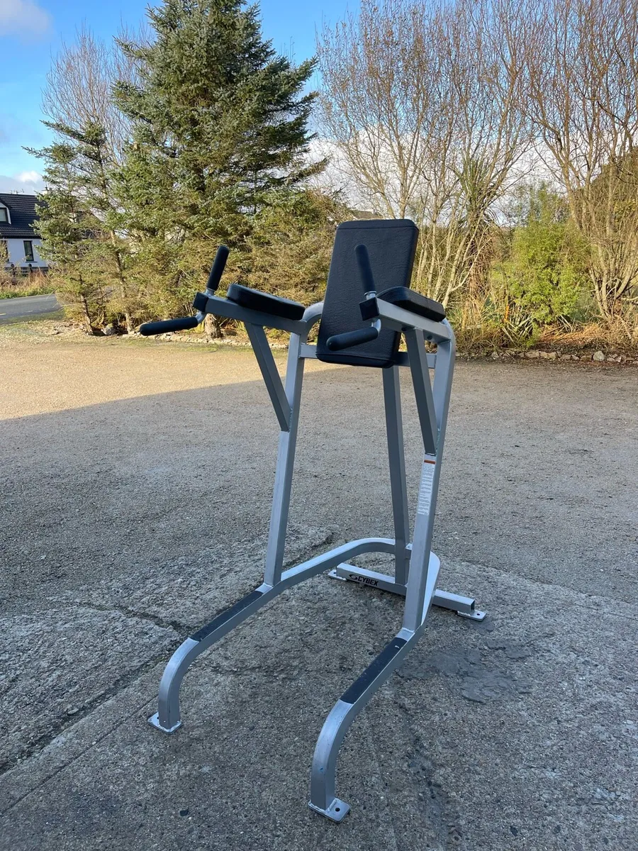 Cybex VKR Dip Station & Leg Raise - Image 2