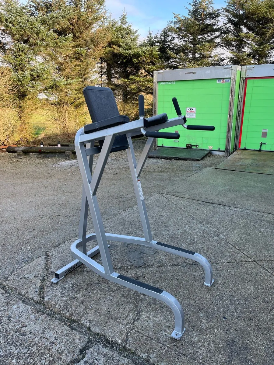 Cybex VKR Dip Station & Leg Raise - Image 3