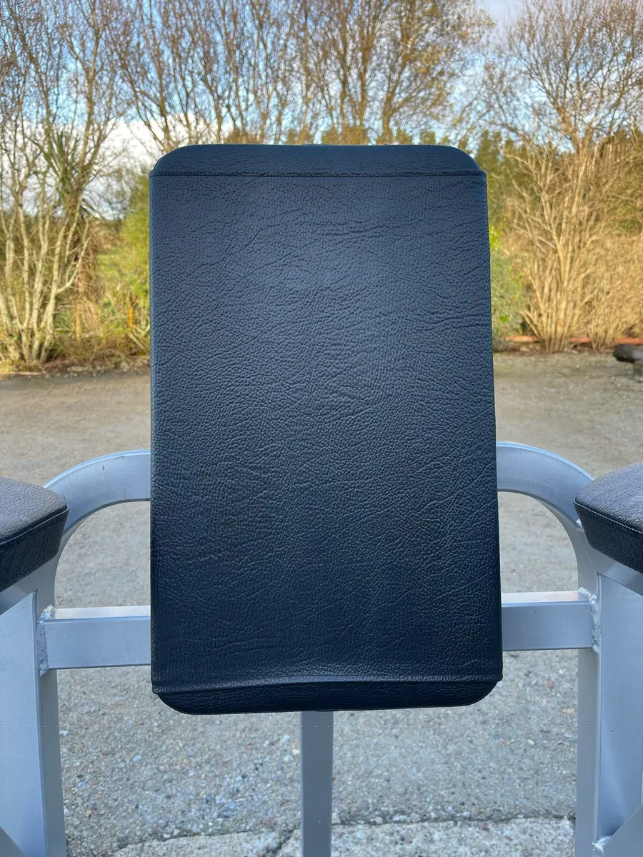 Cybex VKR Dip Station & Leg Raise - Image 4