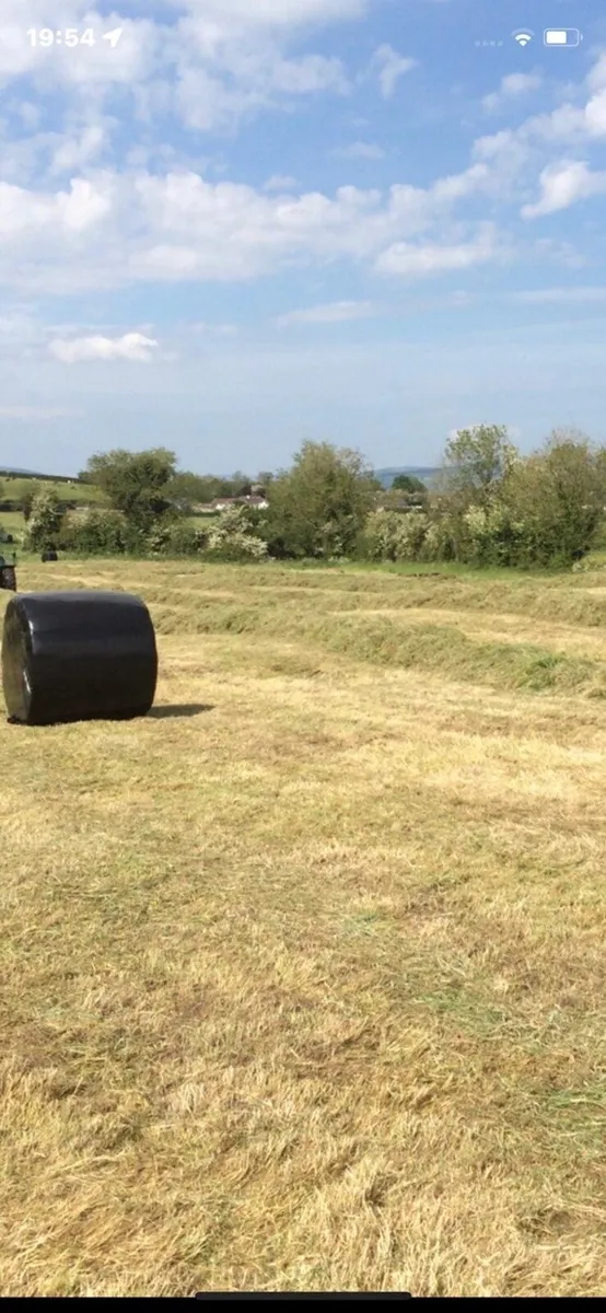 Round bales of silage