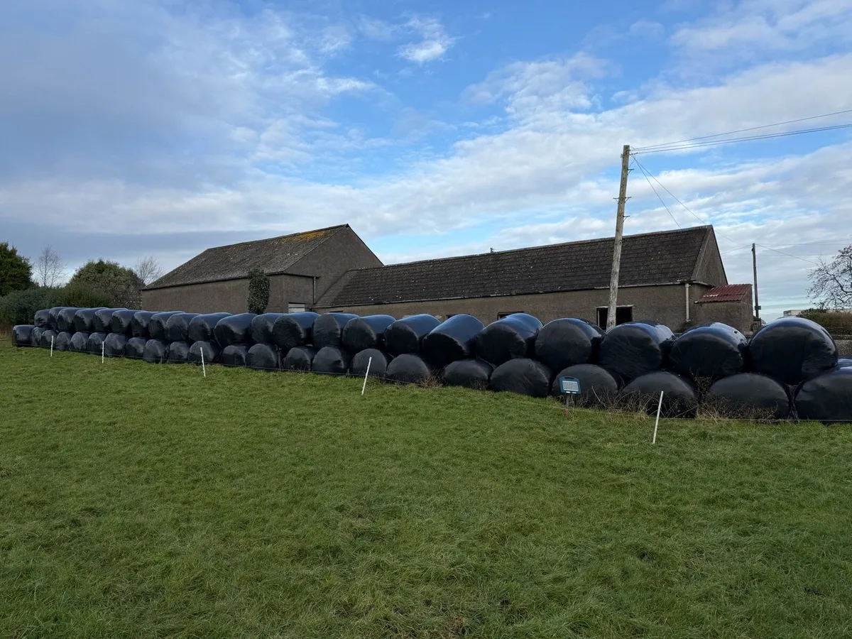 Big bale silage - Image 1