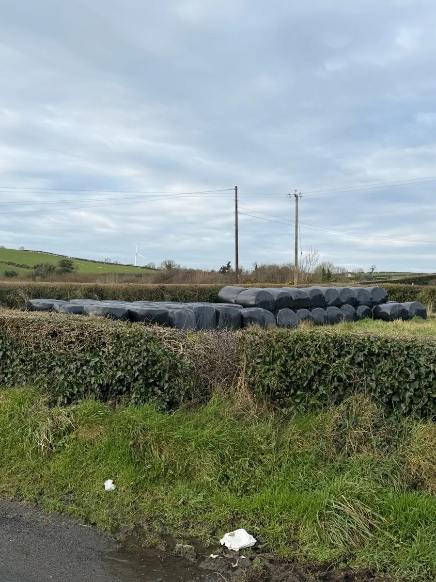 Big bale silage - Image 4