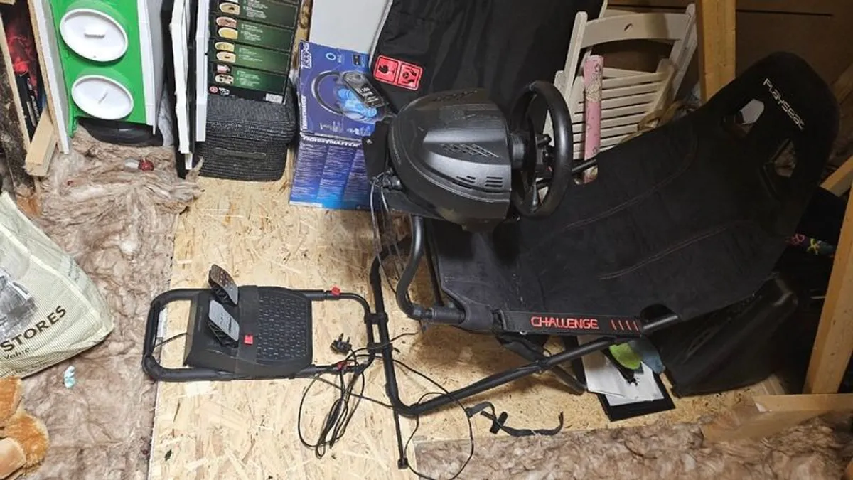 Playseat/Driving wheel - Image 3