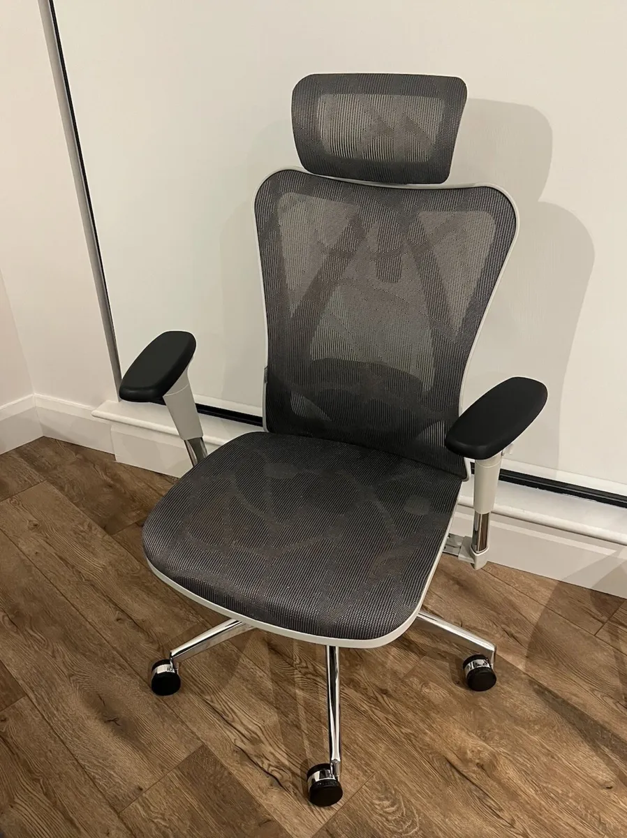 Ergonomic Chair - Image 1