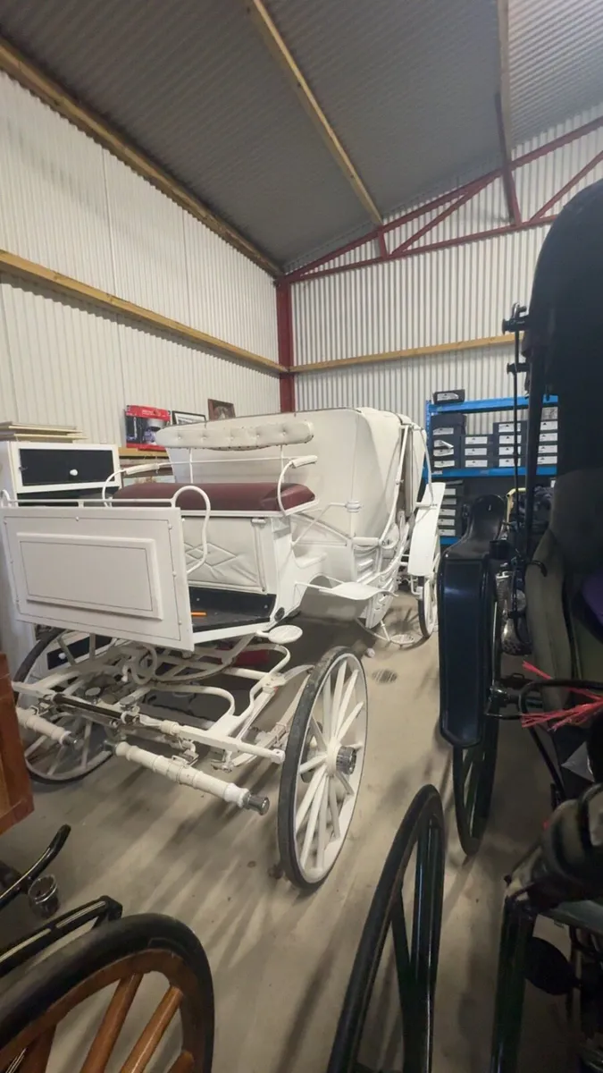 Vis a vis Carriage - Image 2