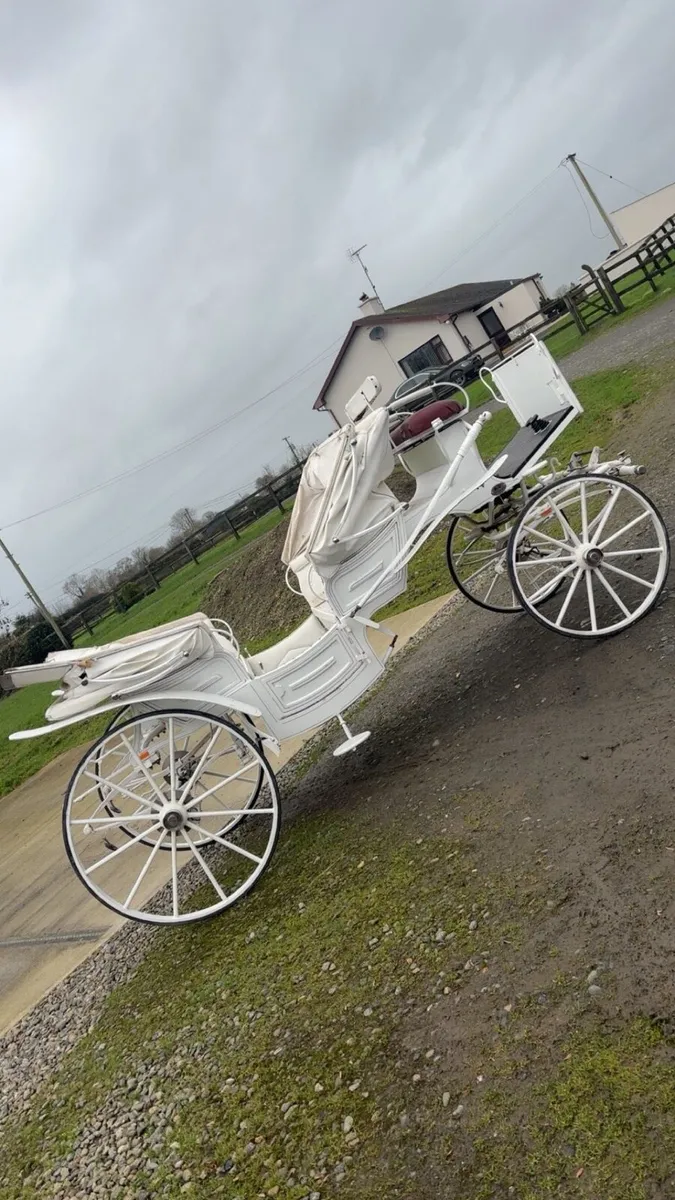 Vis a vis Carriage - Image 1