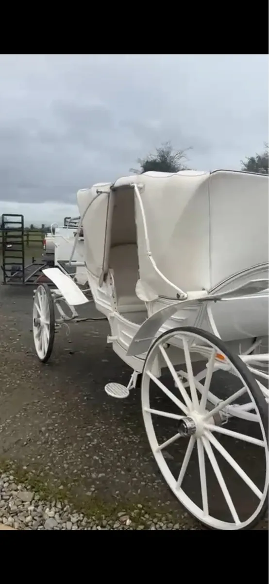 Vis a vis Carriage - Image 3