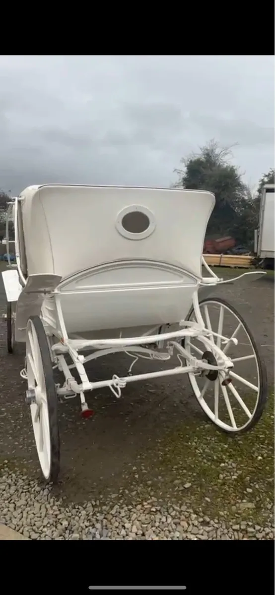 Vis a vis Carriage - Image 4