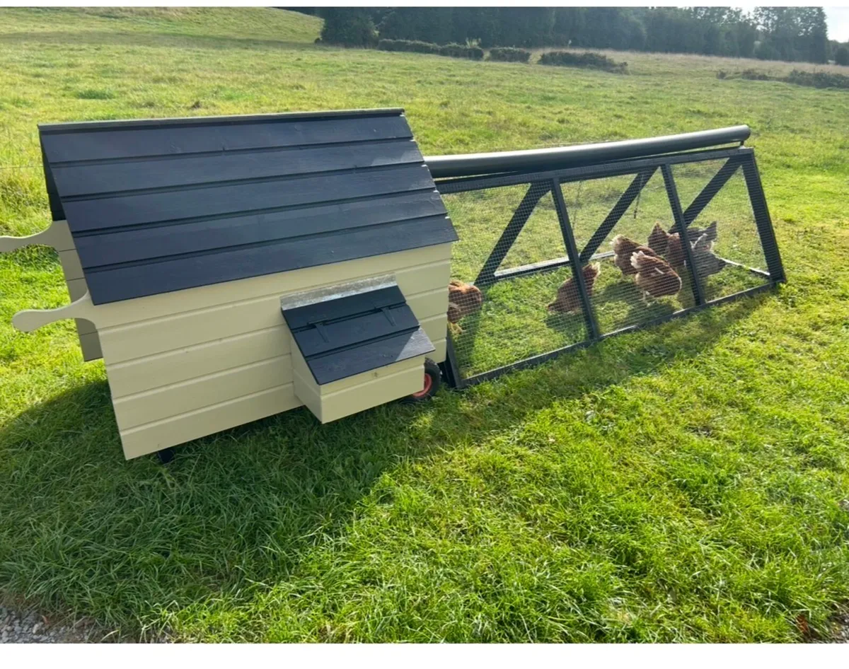 Hen House / Chicken coop - Image 1