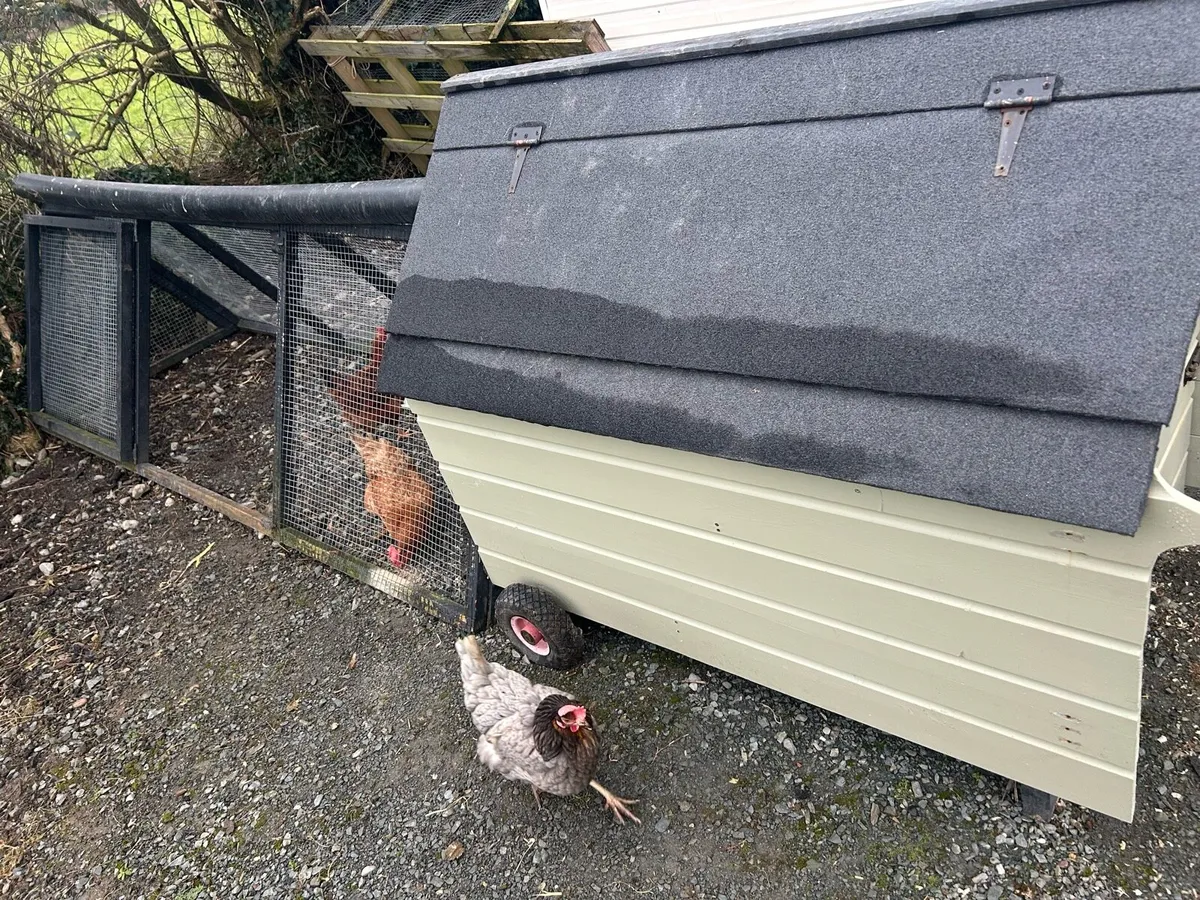 Hen House / Chicken coop - Image 2