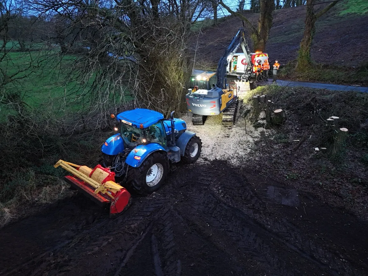 Site clearance mulching whins/scrub - Image 1