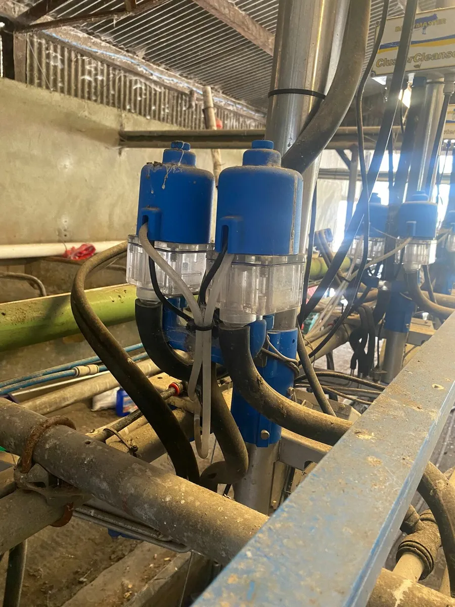 Milking Parlour 12-Unit Dairymaster - Image 4