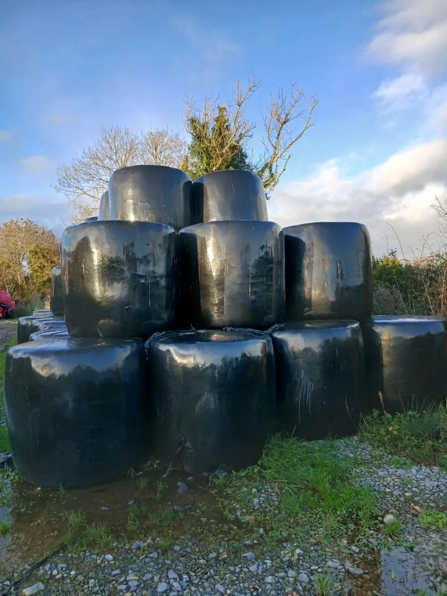 Bales of silage & hay - Image 1