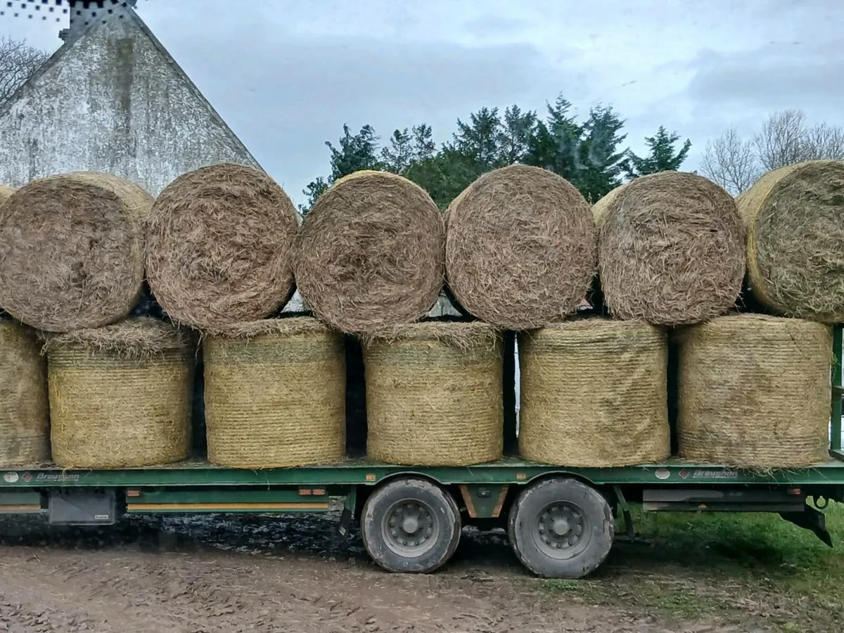 Bales of silage & hay - Image 2