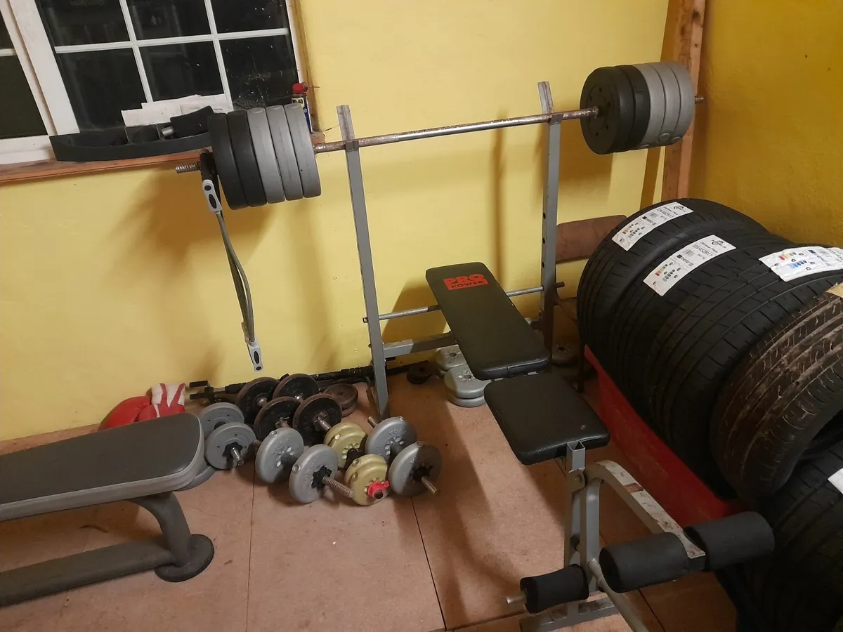 Gym weights - Image 1