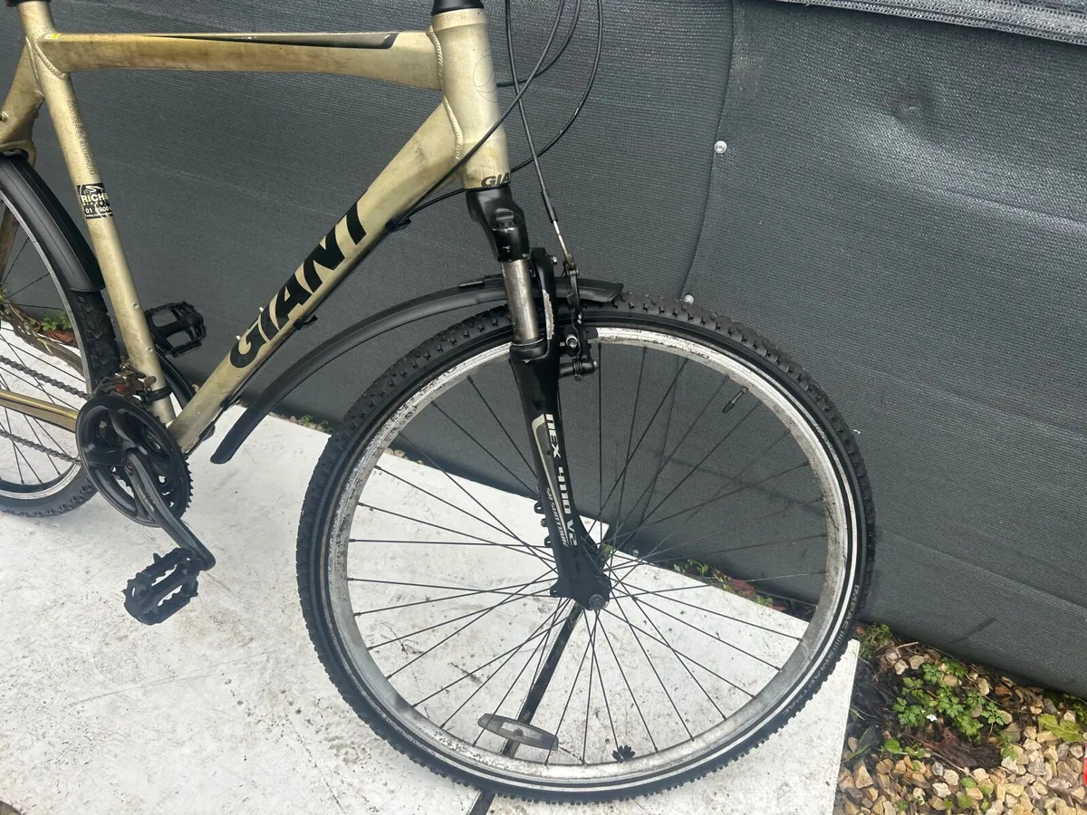 Giant Roame ❗️Open 7 days of the week ❗️ - Image 3