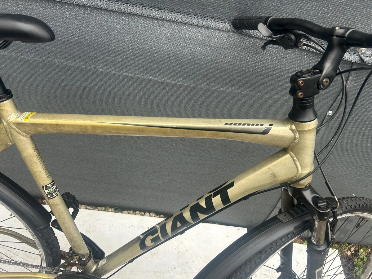 Giant Roame ❗️Open 7 days of the week ❗️ - Image 4