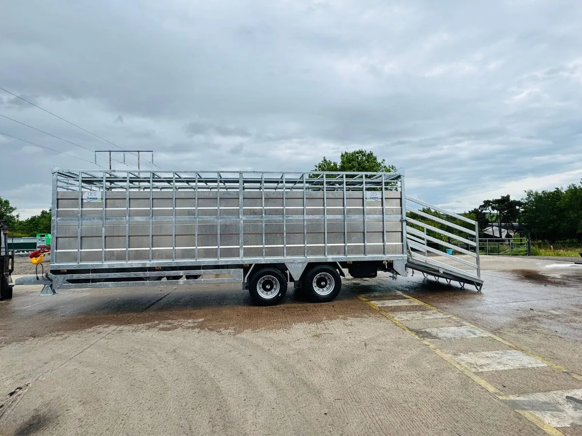 New 26ft OES cattle trailer - Image 4