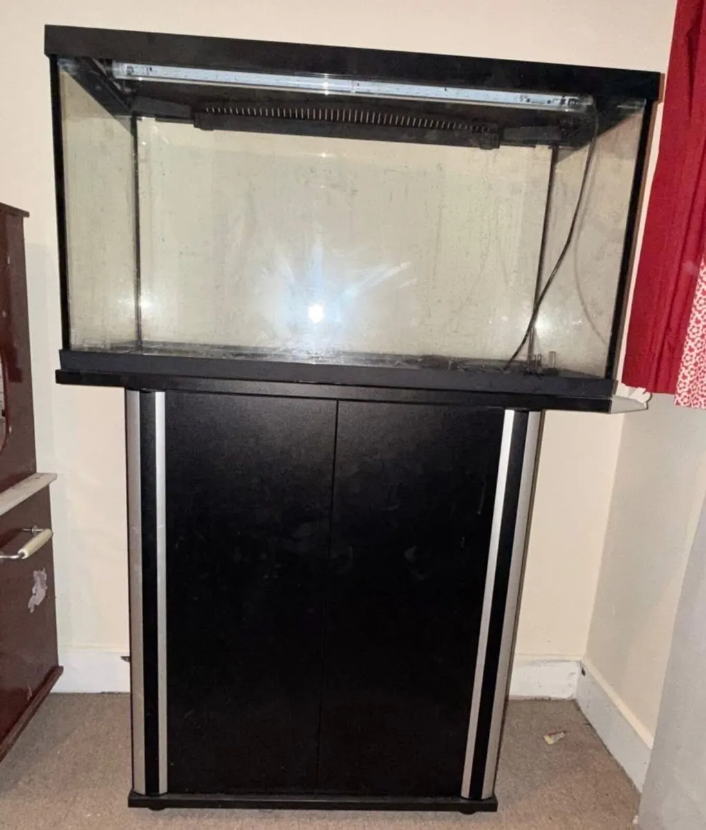 Fish tank - Image 3