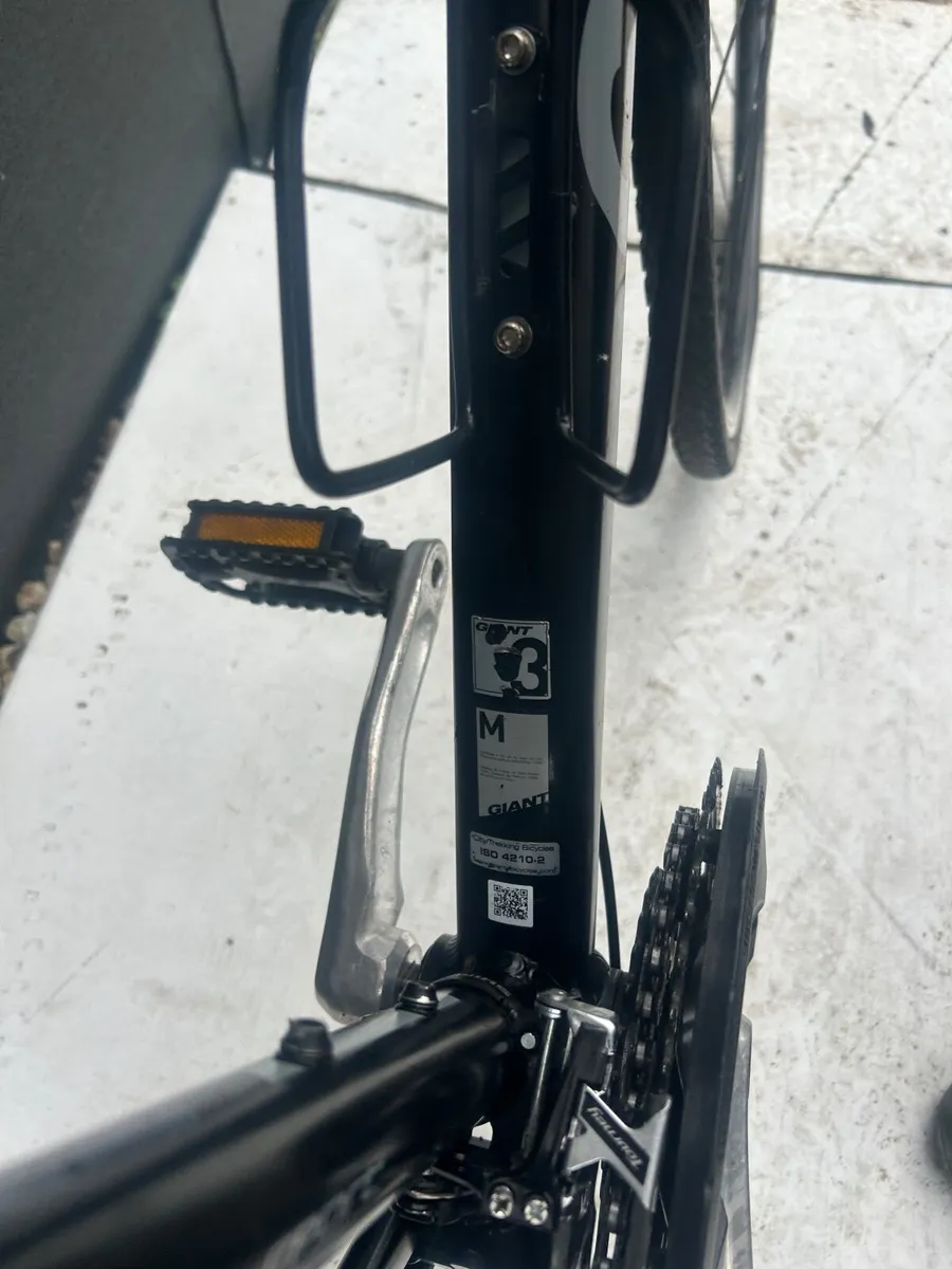 Giant escape ❗️Open 7 days of  week ❗️ - Image 2