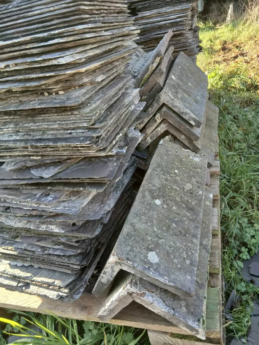 Natural Slates - 10 x 20 inches - Laois - Image 1