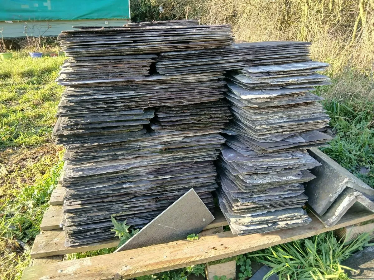 Natural Slates - 10 x 20 inches - Laois - Image 2