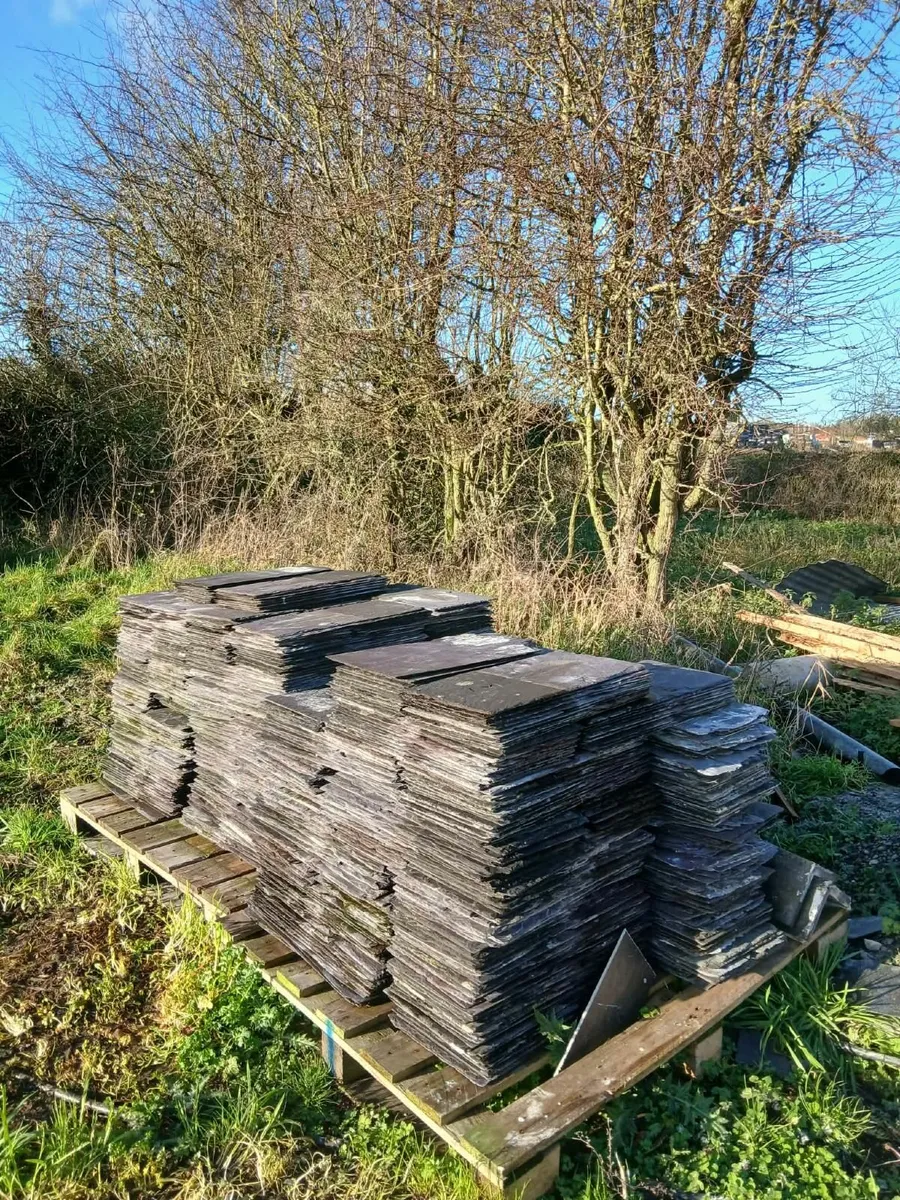 Natural Slates - 10 x 20 inches - Laois - Image 3
