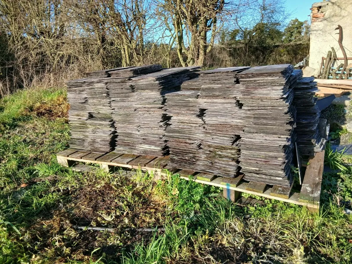 Natural Slates - 10 x 20 inches - Laois - Image 4