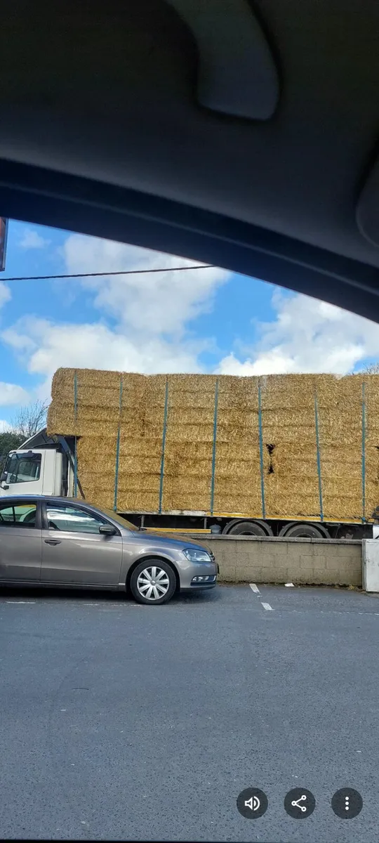 Small & Big Square bales of Barley Straw for sale - Image 4