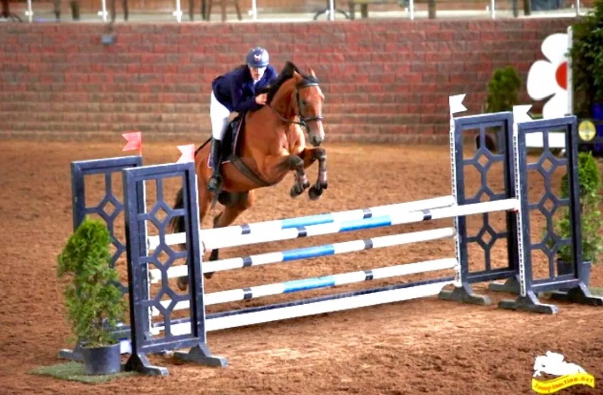 15.2 all rounder - Image 3