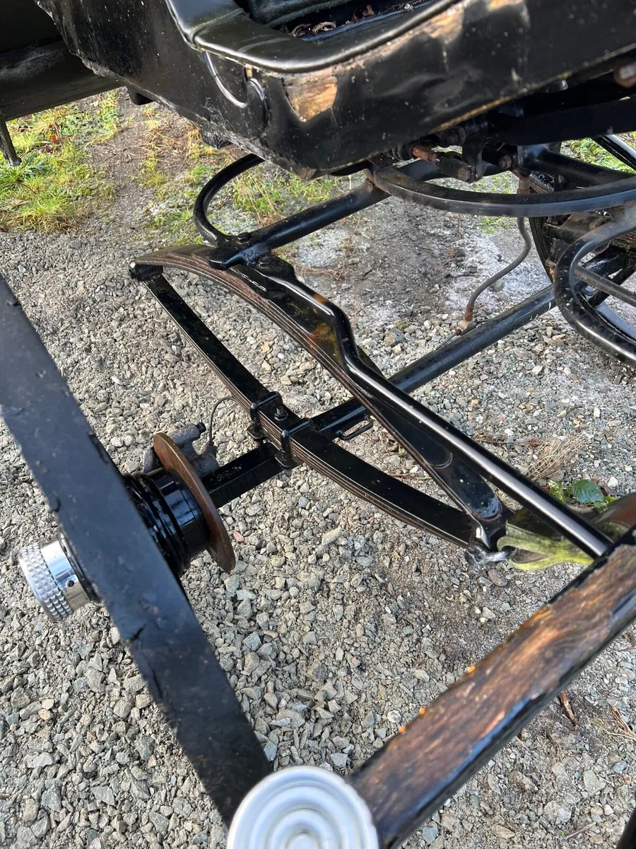 horse carriage - Image 3