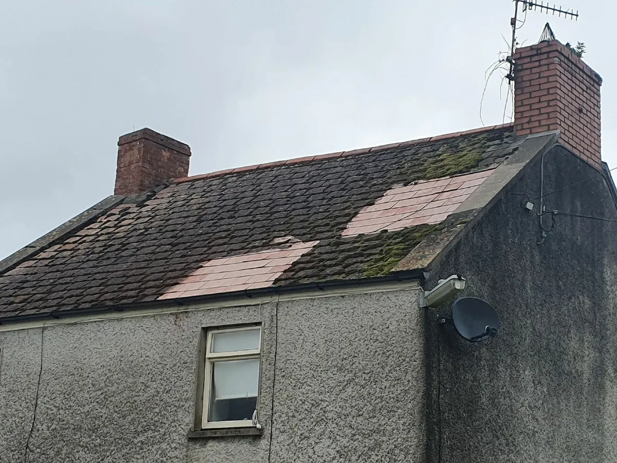 Stop power washing! Safe softwash instead! - Image 4