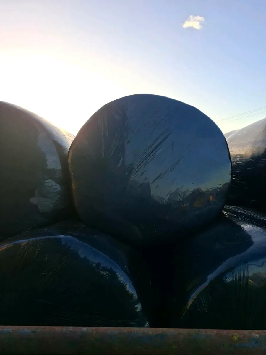 Silage for sale - Image 2