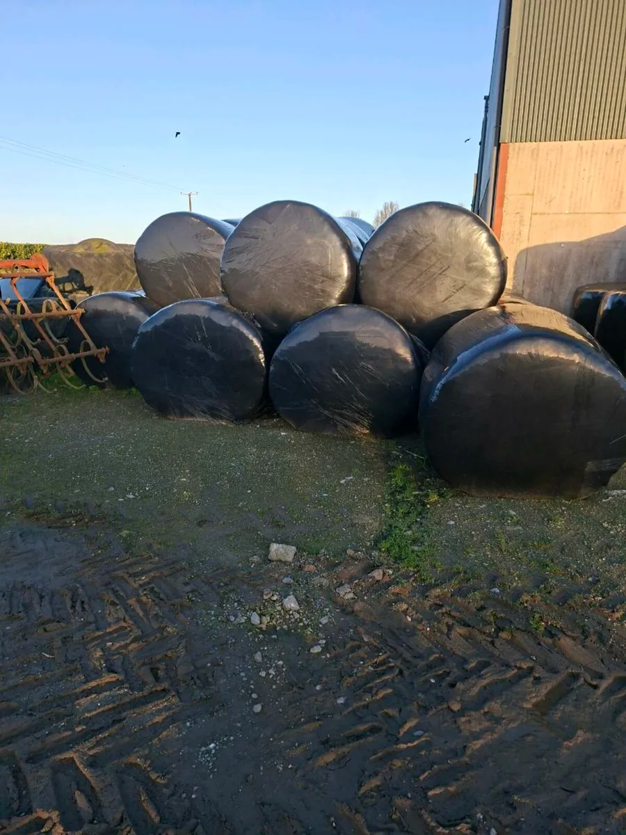 Silage for sale - Image 1
