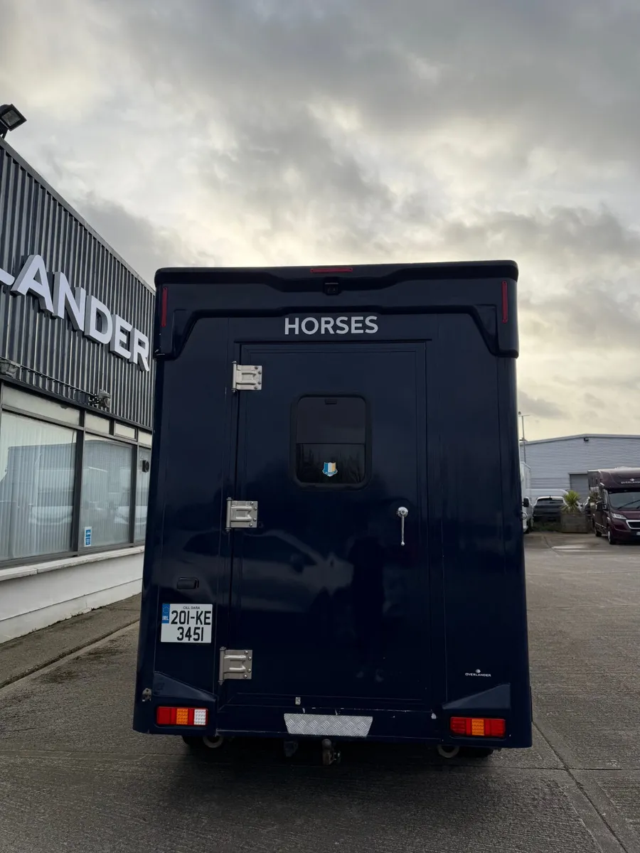 Overlander 2 Stall Horsebox - Image 4