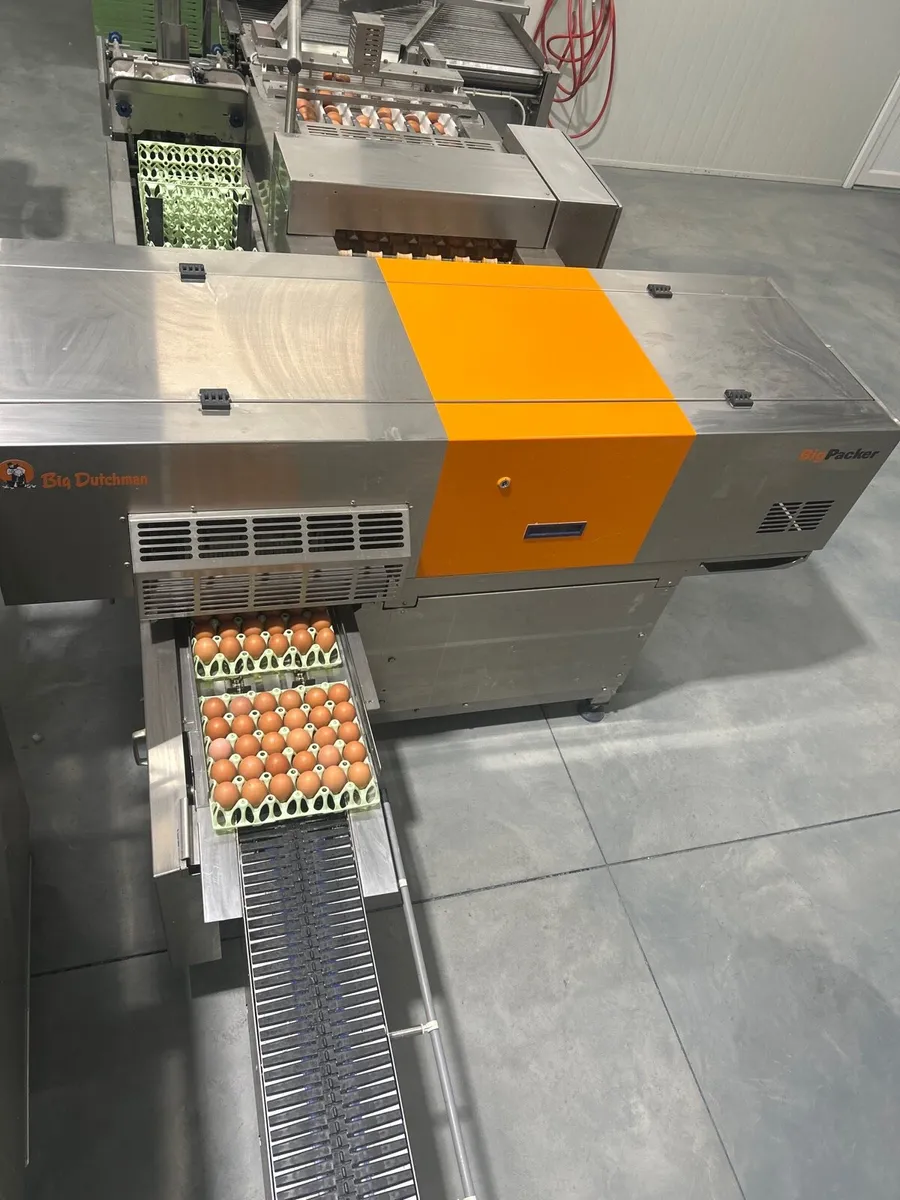 Moba 55 egg and tray stacker farm packer - Image 1