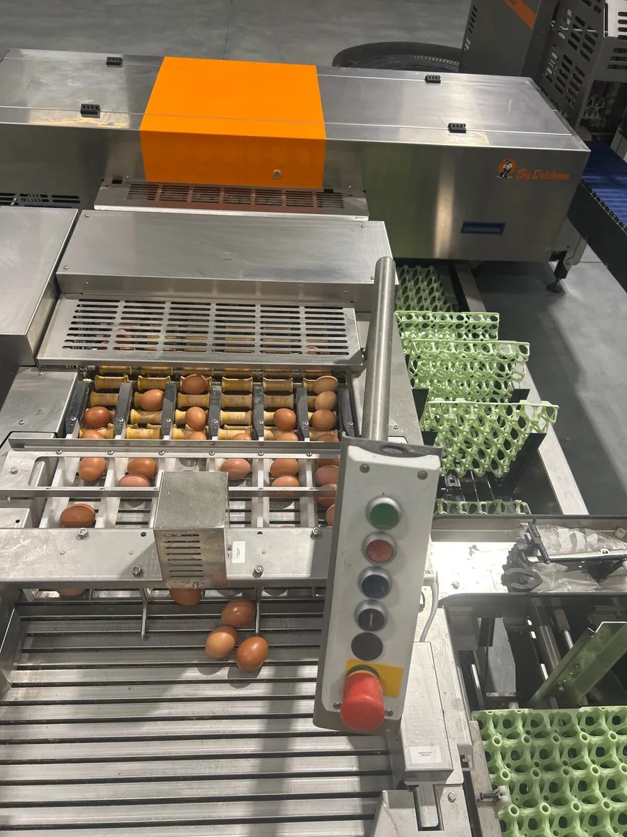 Moba 55 egg and tray stacker farm packer - Image 3