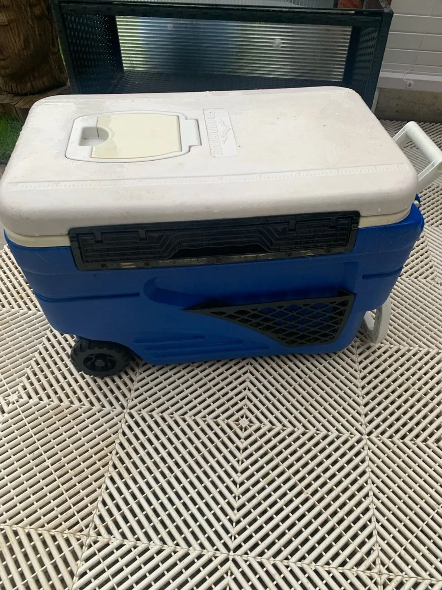 Cool Cooler box - Image 2