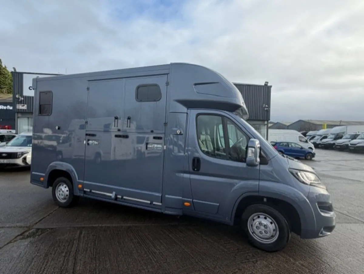 Overlander 2 Stall Horsebox - Image 2