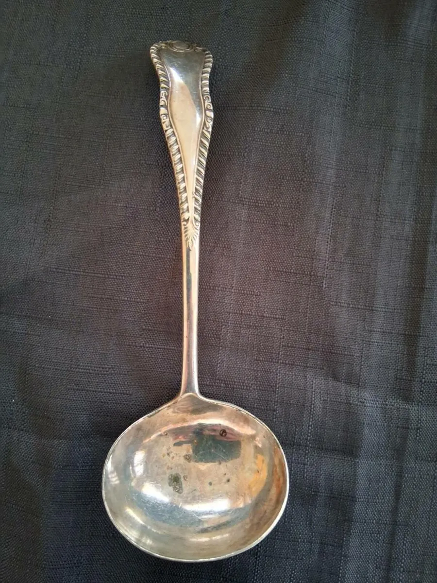 Electro Plated Sauce Ladle - Image 1