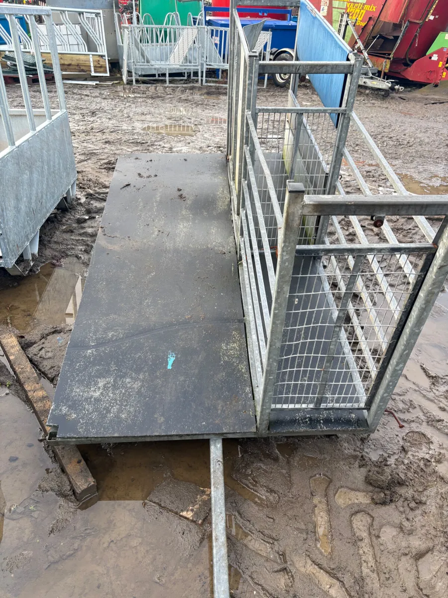 Sheep inspection trailer - Image 1