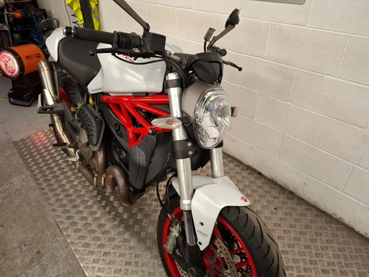 DUCATI Monster 821 2015 - Image 2