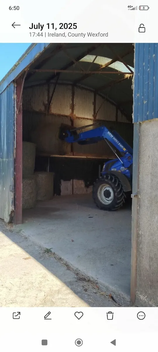 Hay for horses - Image 2