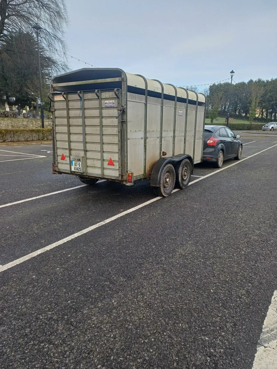 Hudson cattle trailer - Image 4
