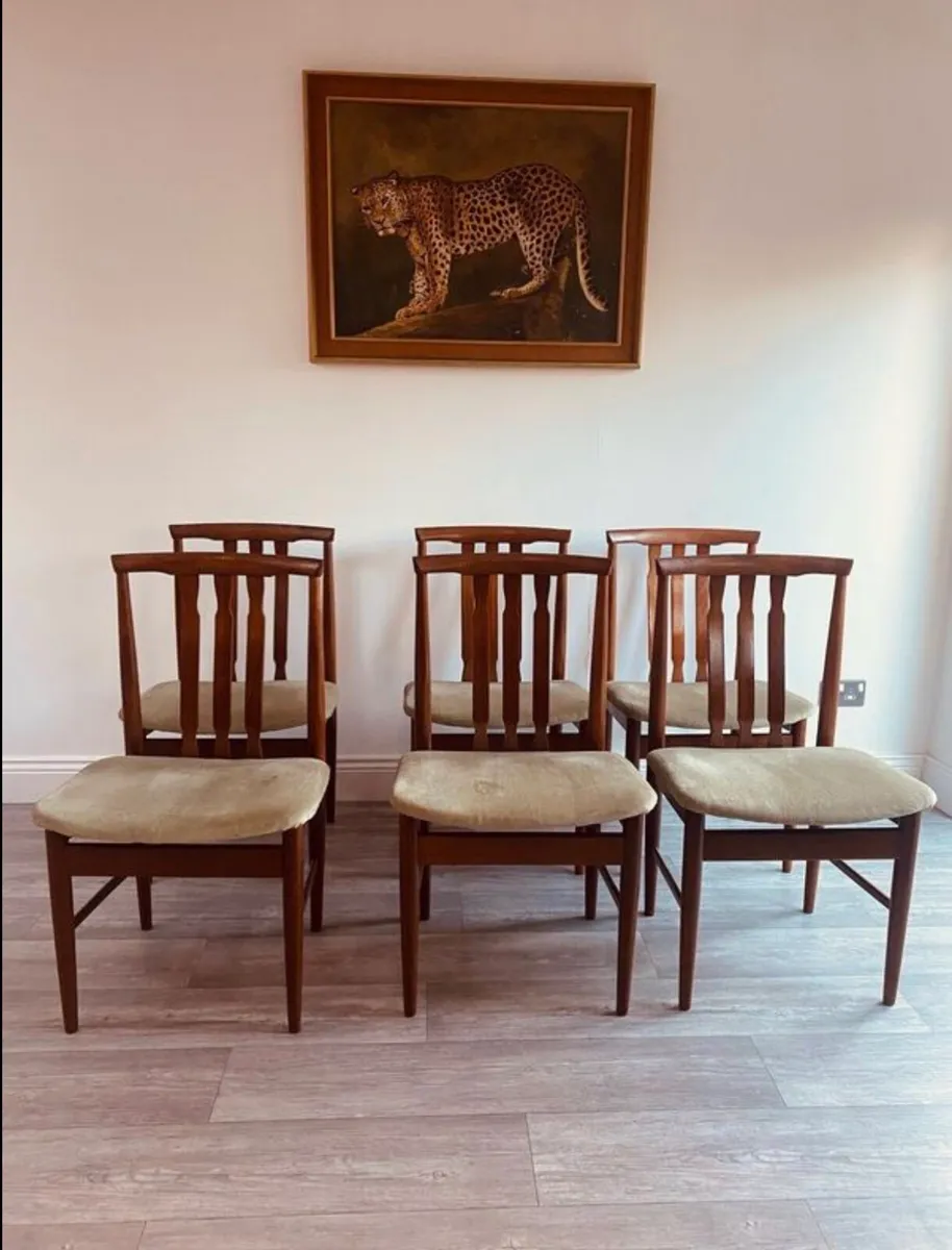Mid Century Dining Chairs x 6 - Image 3