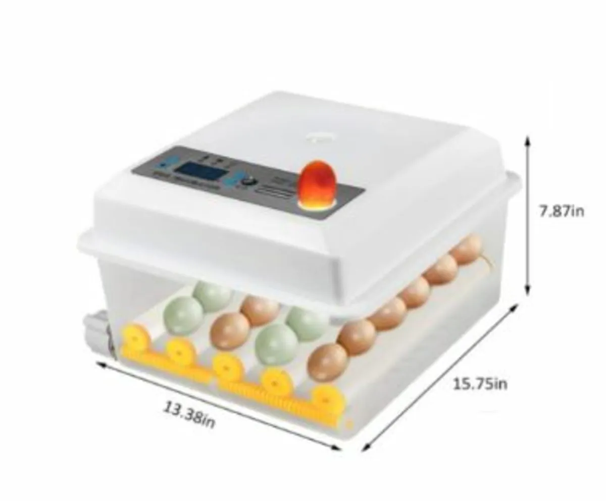 Reliable 16 Egg Incubator For Home Hatchery - Image 1