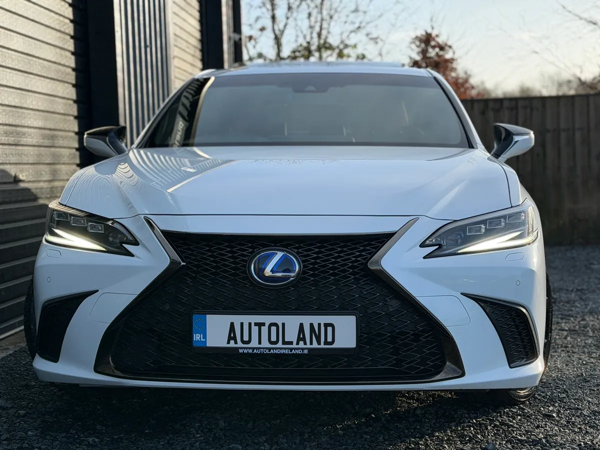 222 Lexus ES300 F-Sport - Image 2