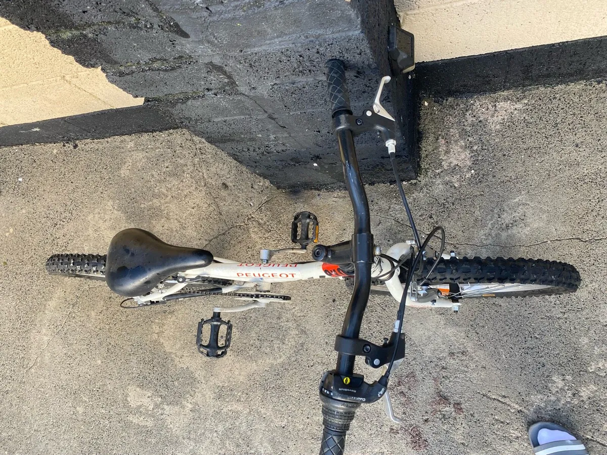 Peugeot 20 inch 6 speed - Image 4